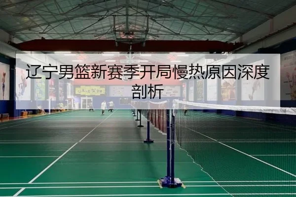 辽宁男篮新赛季开局慢热原因深度剖析